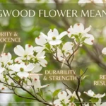 Dogwood Flower Meaning