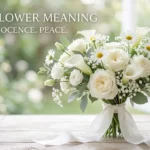 White Flower Meaning