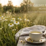 Chamomile Flower Meaning