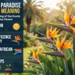 bird of paradise flower meaning